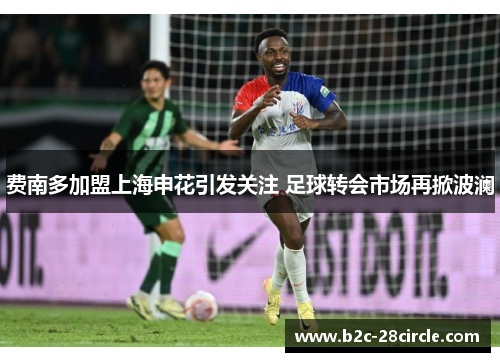 费南多加盟上海申花引发关注 足球转会市场再掀波澜